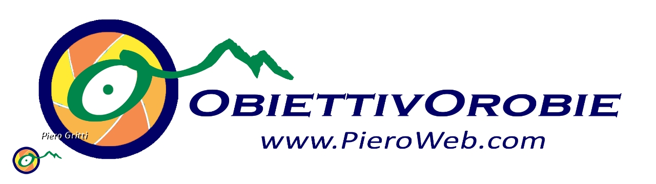 03 Il profilo stilizzato del Diavolo nel logo del sito.jpg